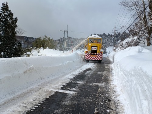 IMG_20260130_120001_1