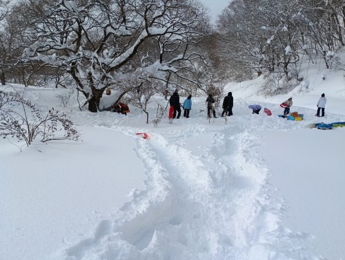 IMG_20260130_134035_1