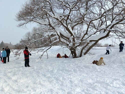 IMG_20260130_134312_1