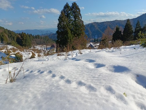 IMG_20260110_143922_1