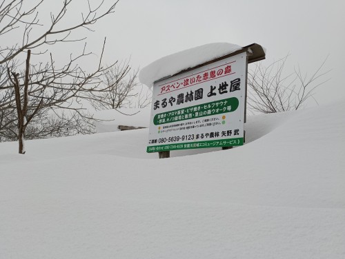 IMG_20260124_144733_1