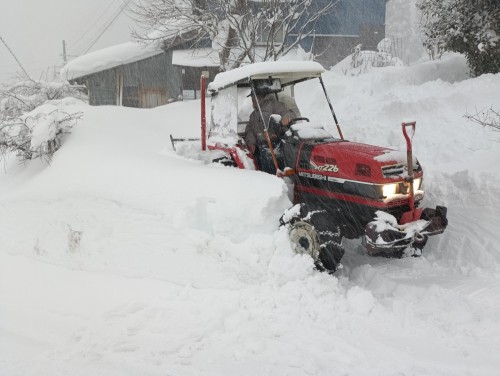 IMG_20260124_151747_1