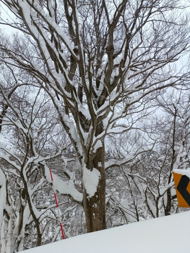 IMG_20260201_124233_1