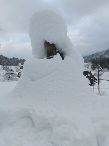 IMG_20260201_131207_1