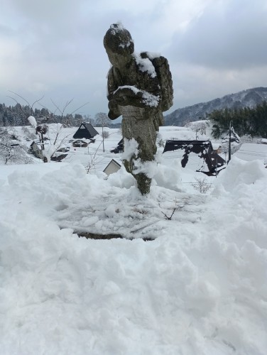 IMG_20260201_131729_1