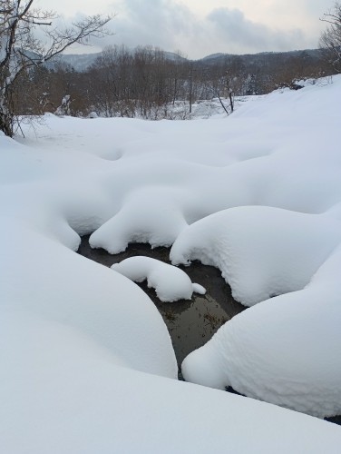 IMG_20260202_155648_1