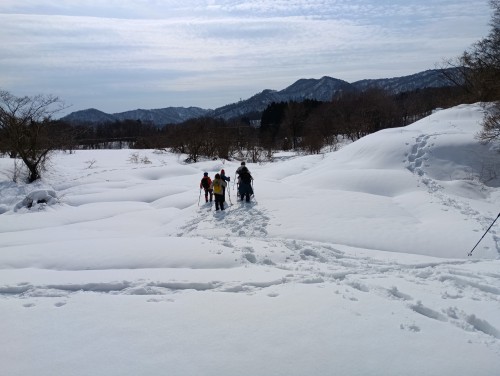 IMG_20260205_121817_1秋田をゲット