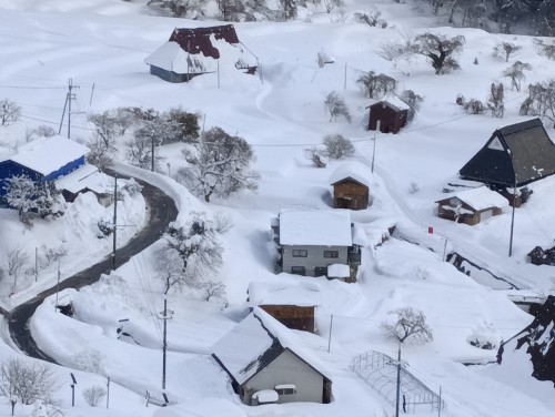 IMG_20260130_120414_1