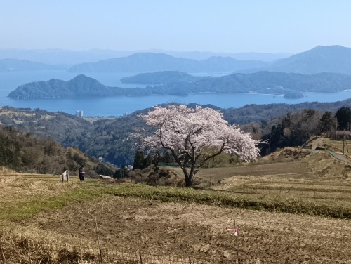 IMG_20260408_140652_1