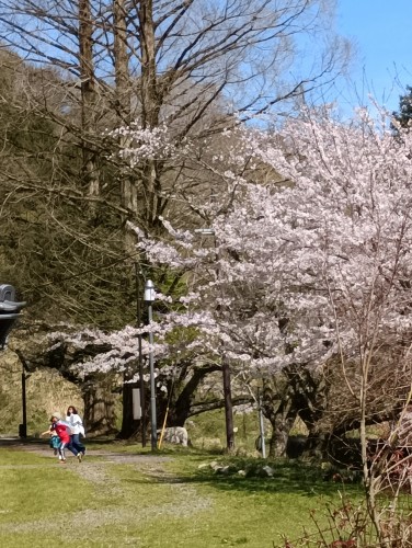 IMG_20260412_135551[1]