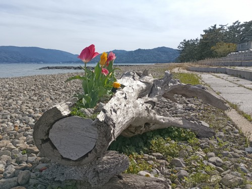 IMG_20260412_145902_1