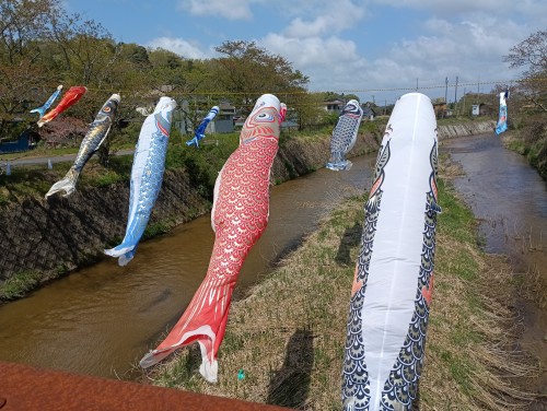 IMG_20260416_112526_1