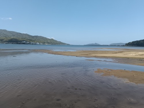 IMG_20260416_115347_1