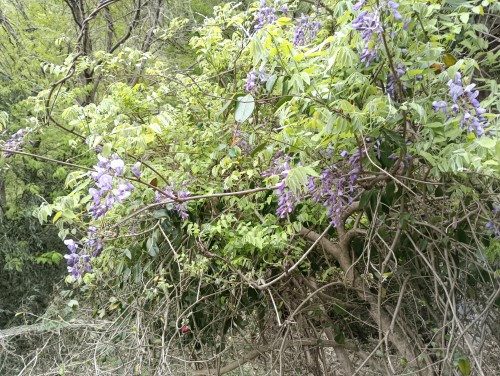 IMG_20260419_145233[1]