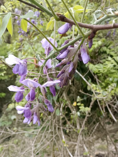 IMG_20260419_145240[1]