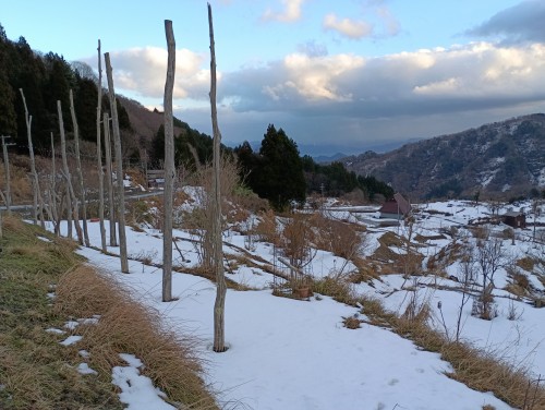 .trashed-1772671107-IMG_20260114_162247