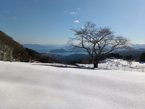 .trashed-1776259251-IMG_20260107_122519_1