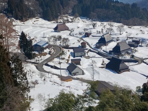 .trashed-1776272934-IMG_20260221_115728