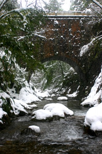 ０４，２／５しもせや_r1