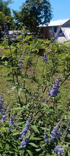 IMG_20260723_112718_1