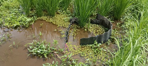 IMG_20260727_123059_1