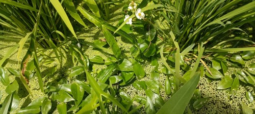 IMG_20260727_123138