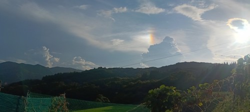 IMG_20260808_173747
