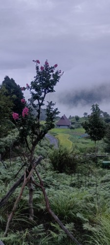 IMG_20260828_180909