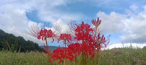 IMG_20260924_144224_1[1]